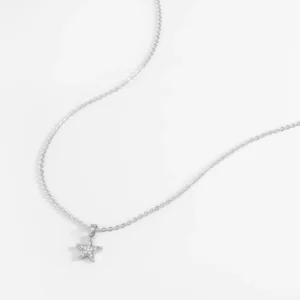Collar en baño platino de estrella brillante